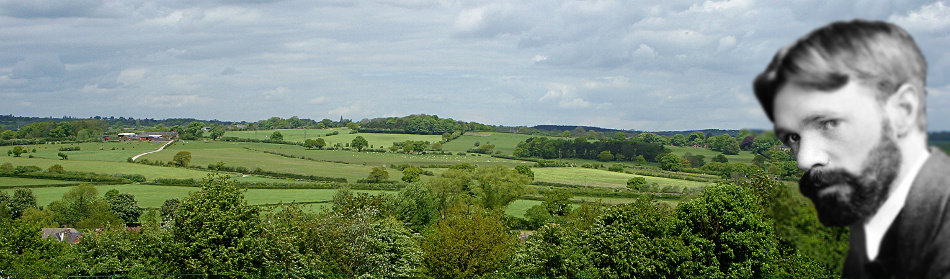 Lawrence View from Walker Street